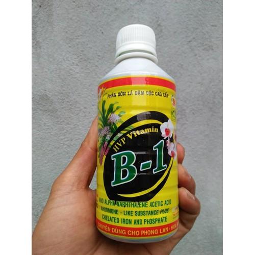 Phân bón lá đậm đặc cao cấp HVP Vitamin B1 250ml