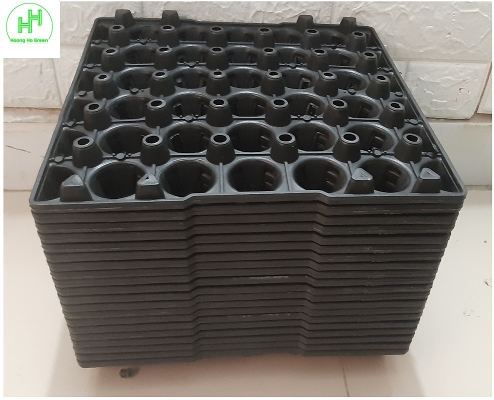 20  Khay Nhựa 30 Lỗ Đựng Trứng Gà, Trứng Vịt, Trứng Chim