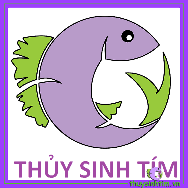 Cây Thủy Sinh Thanh Đản