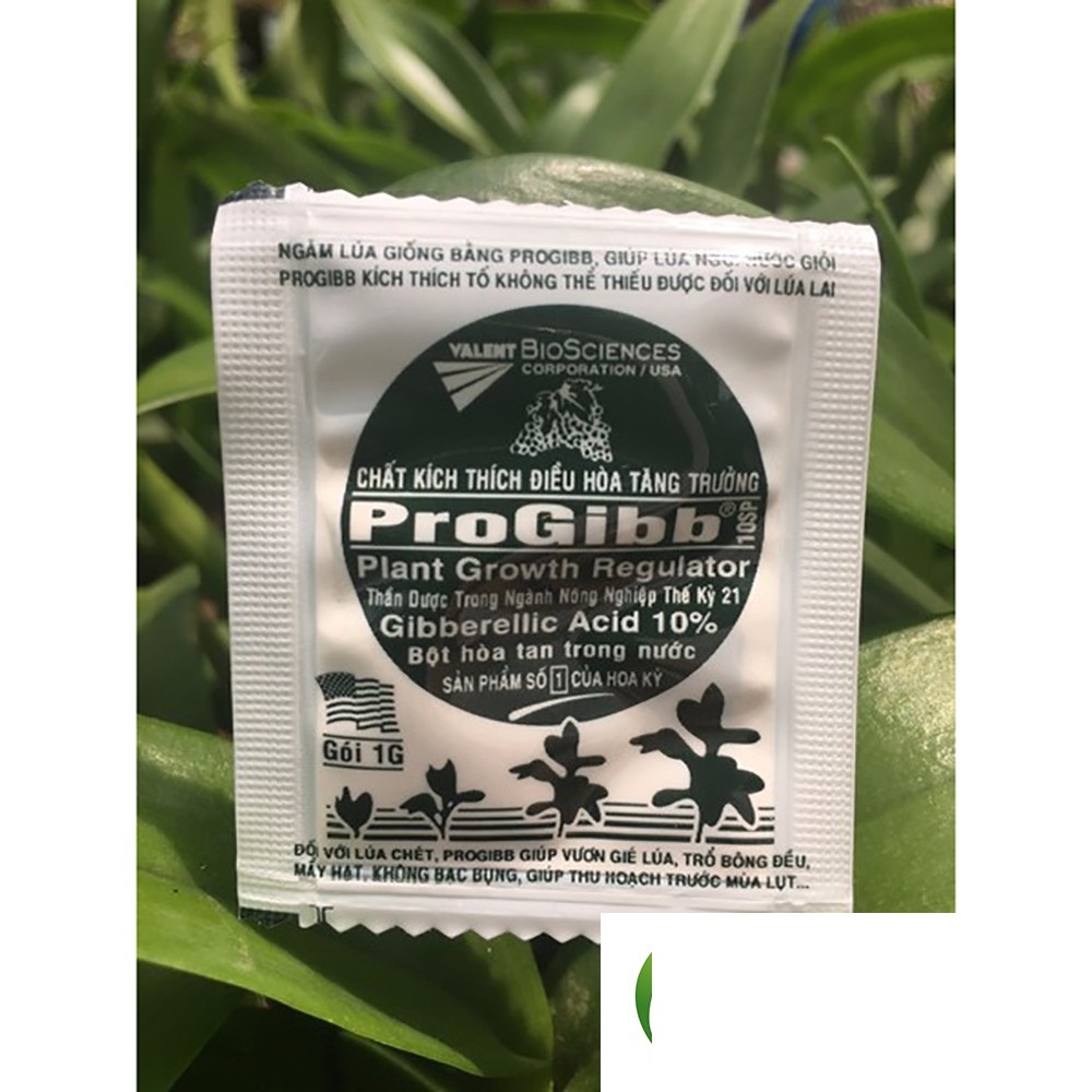 GA3 - Progibb phân bón Kích thích tăng trưởng, gây rụng lá thân thòng