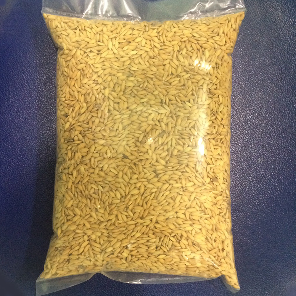 Lúa vàng cho gia cầm, hạt to mẩy, gói 1kg