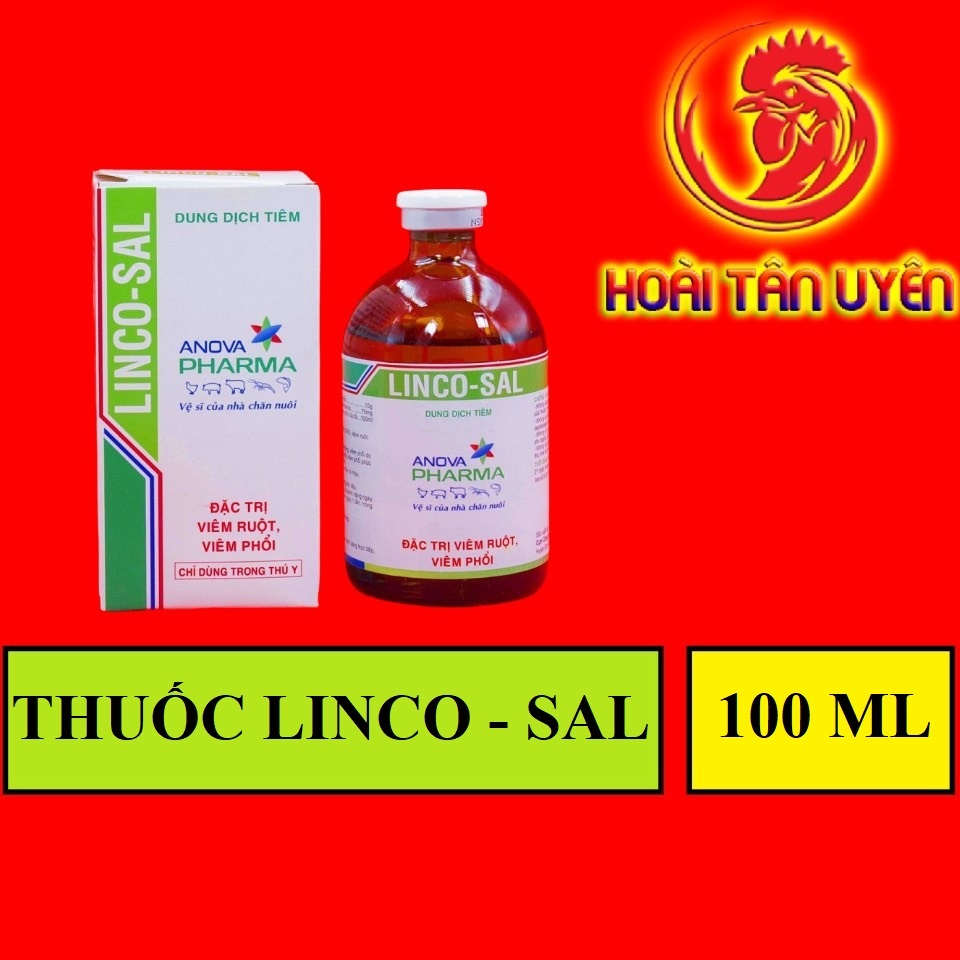 LINCO - SAL khò khè, sỗ mũi dành cho gà đá CHAI 100ML