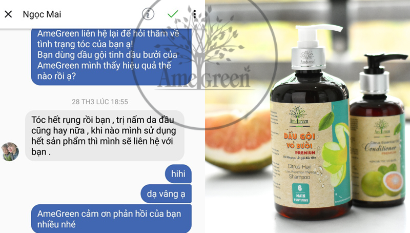[HCM]Kem xả tóc vỏ bưởi cao cấp AmeGreen (250ml)