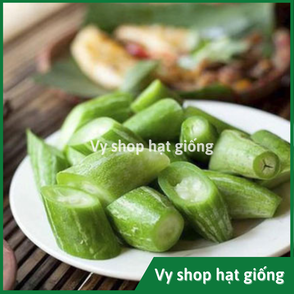 Hạt giống lặc lè (lặc lày, mướp mèo, mướp ngọt...) gói 5 hạt nhập Thái Lan