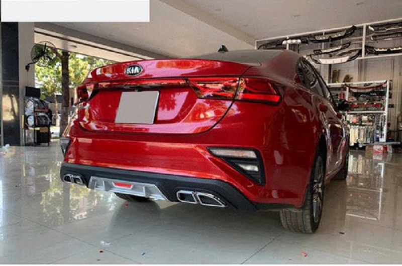 Lippo cerato 2019 2020
