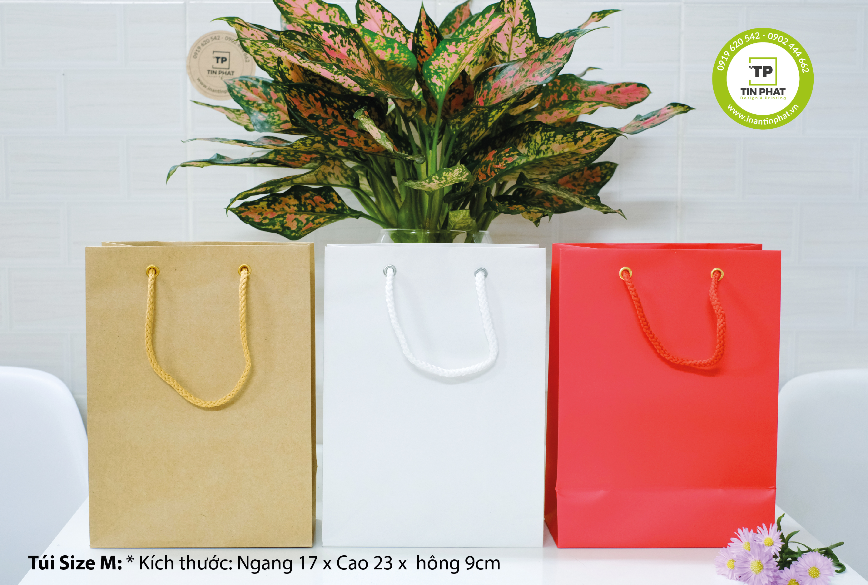 TÚI GIẤY CÓ SẴN - KHÔNG IN - ĐỦ KÍCH THƯỚC