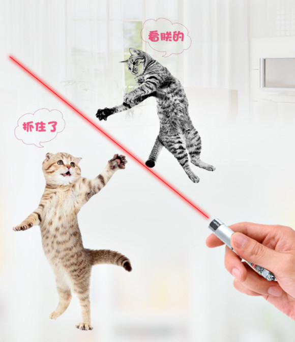 Đèn laser trêu mèo tặng kèm pin