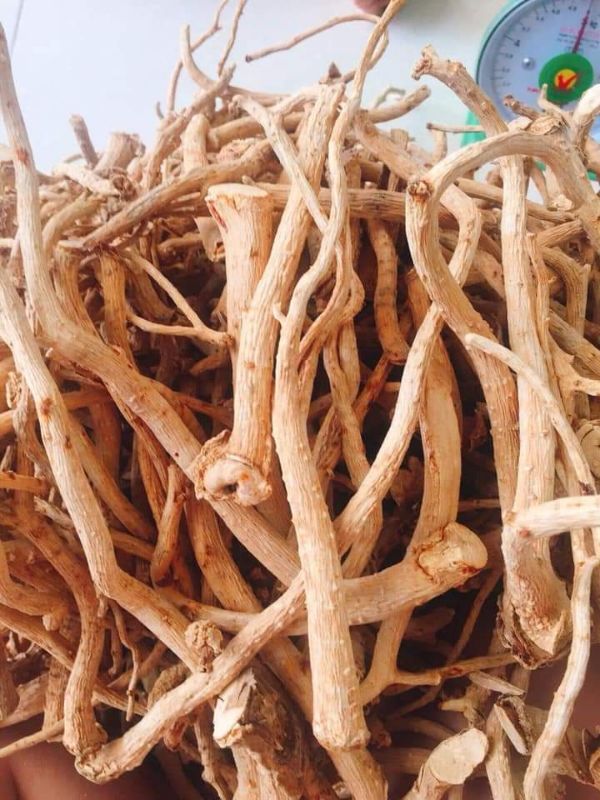 2kg rễ đinh lăng khô