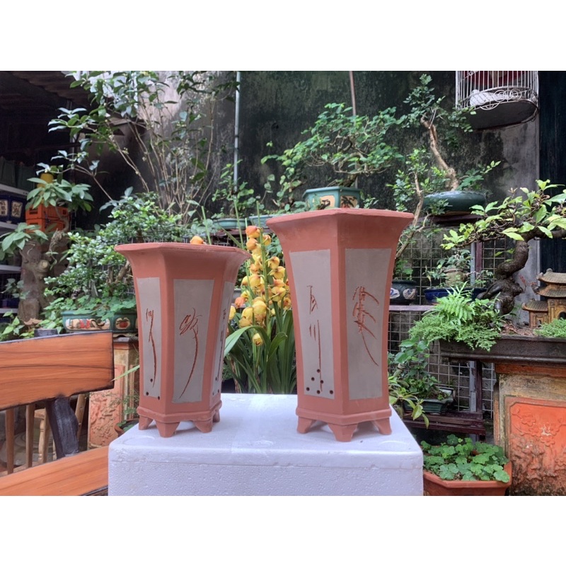 chậu lục dáng cao trồng cây thác đổ