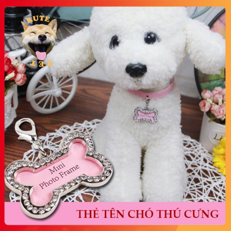 Thẻ tên cho chó mèo thú cưng loại tự có thể ghi tên được