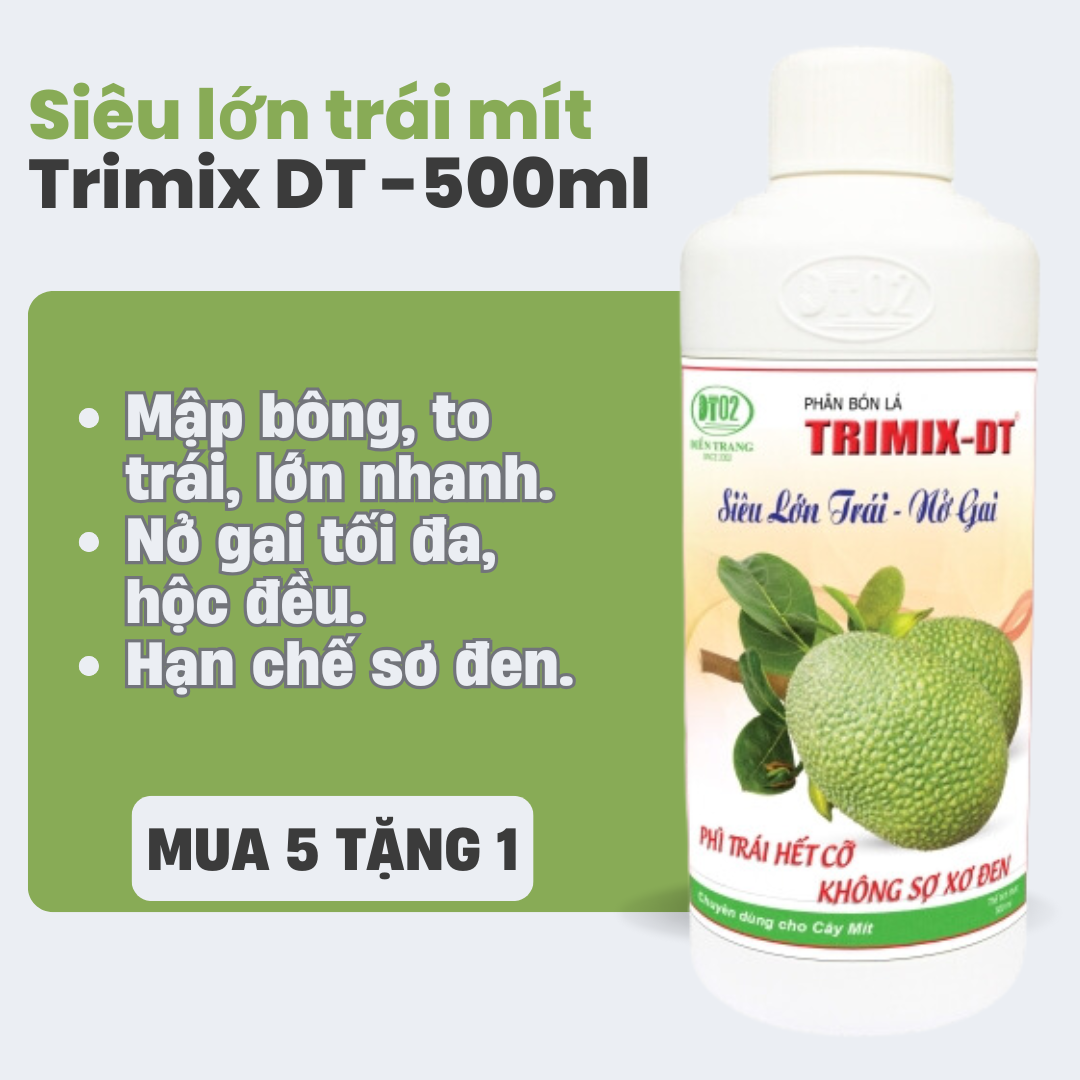 [mua 5 tặng 1] SIêu lớn trái nở gai mít 500ml