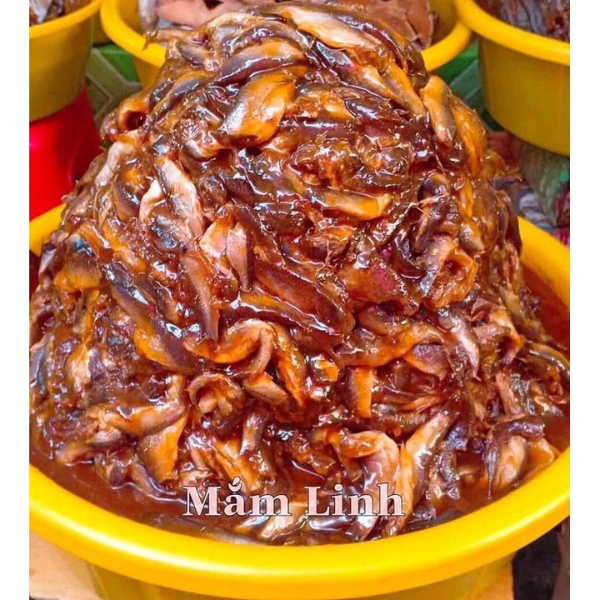 MẮM CÁ LINH ( ĐẶC SẢN TRÀ VINH)