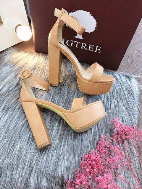 1550-1 GIÀY CAO GÓT BIGTREE XĂNG ĐAN ĐÚP ĐẾ 13CM