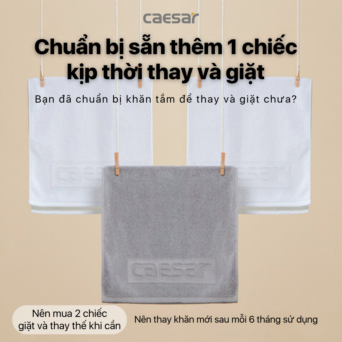 Caesar Bath Towels and Face Towels