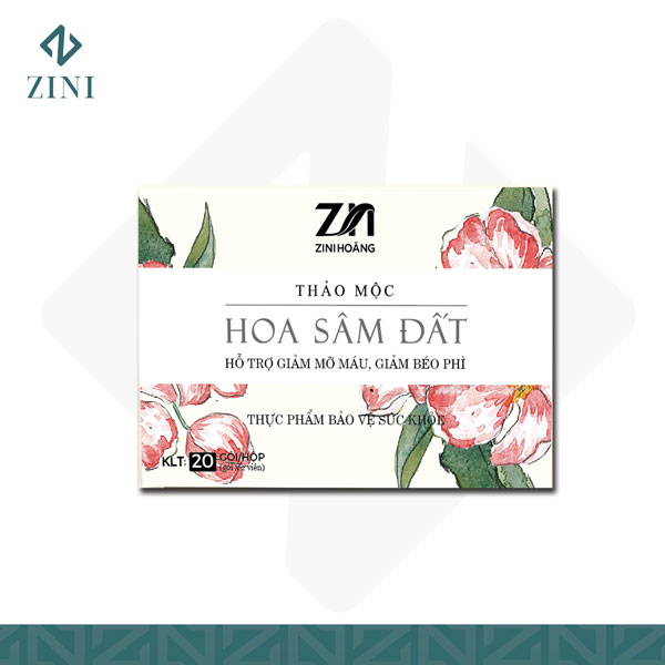 [HCM]Trà giảm cân Hoa Sâm Đất mẫu mới nhất (20 Gói x 02 viên) – Hỗ trợ giảm mỡ máu béo phì