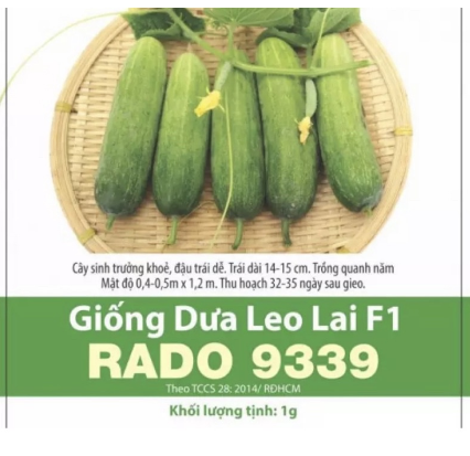 Hạt giống Dưa Leo F1 9339
