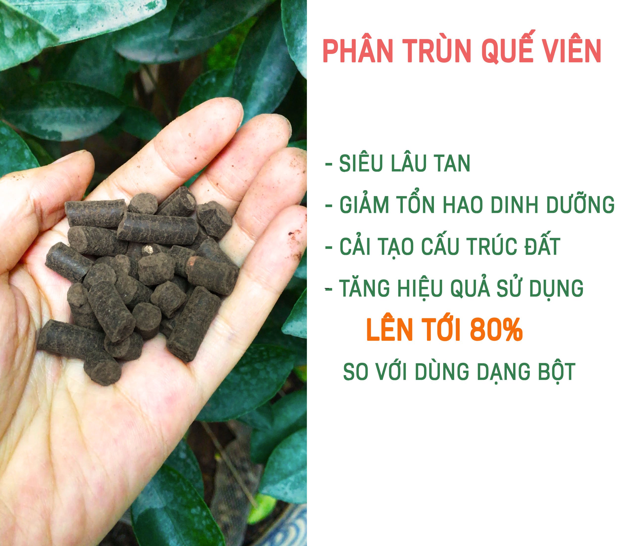 Combo 2kg phân trùn quế