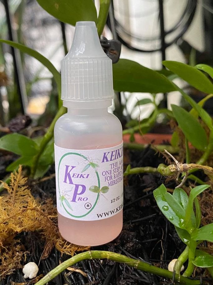 Kích mầm chồi Keiki Pro USA (Mỹ) - 15ml