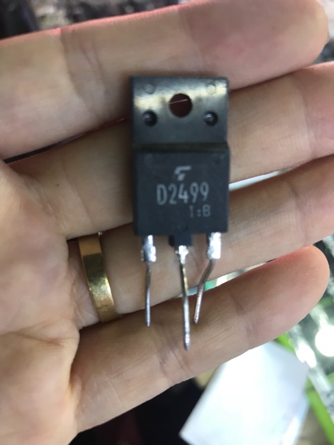 5 Sò D2499