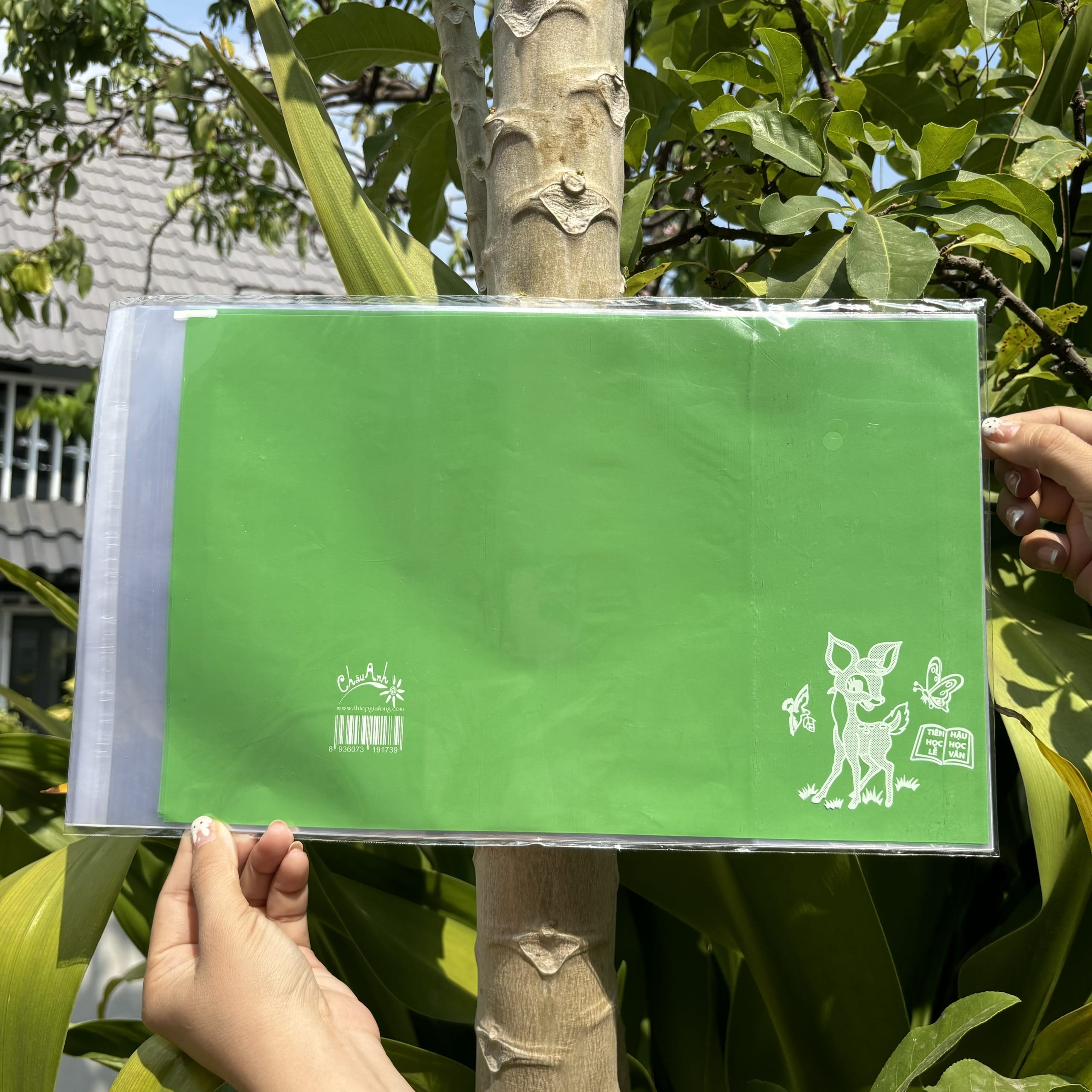 COMBO 10 tờ bao tập nilon giấy màu thủ công (15.5x20.5cm)