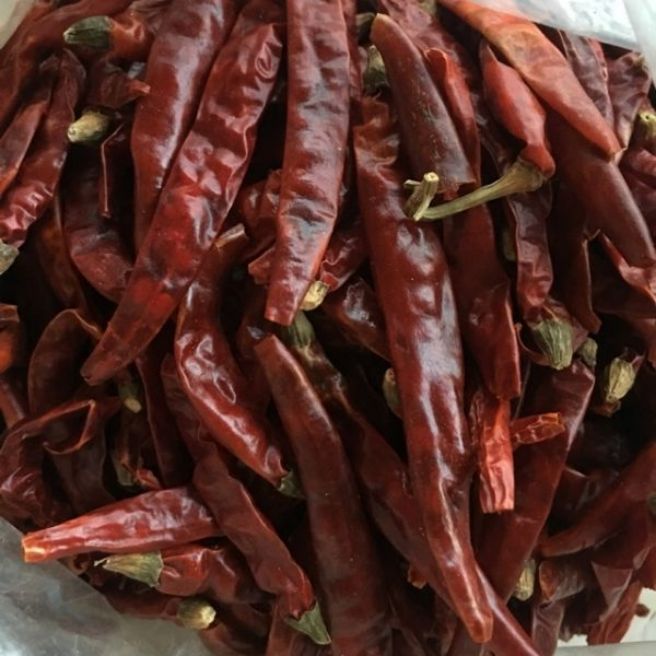100g ớt khô