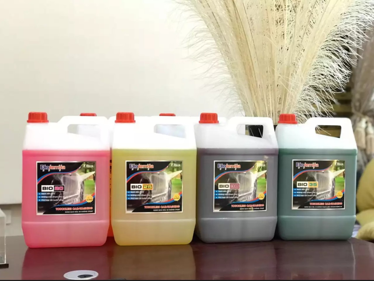 Dung Dịch Rửa Xe Không Chạm Ekokemika BIO 30 - 5L