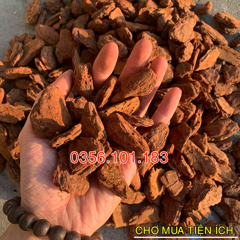 Vỏ thông trồng lan đã qua xử lý size to 2-3cm (1kg)
