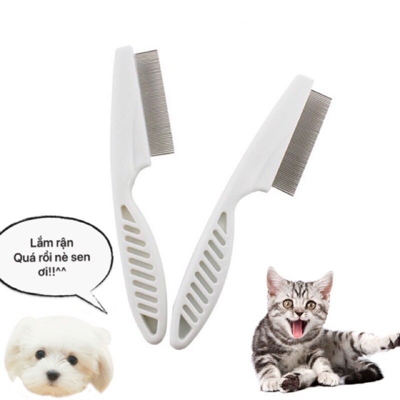 Lược chải ve rận