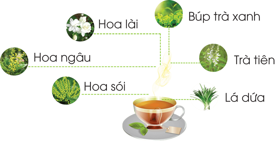 COMBO 3 GÓI TRÀ SÂM DỨA ĐÀ NẴNG LOẠI 500G - date mới