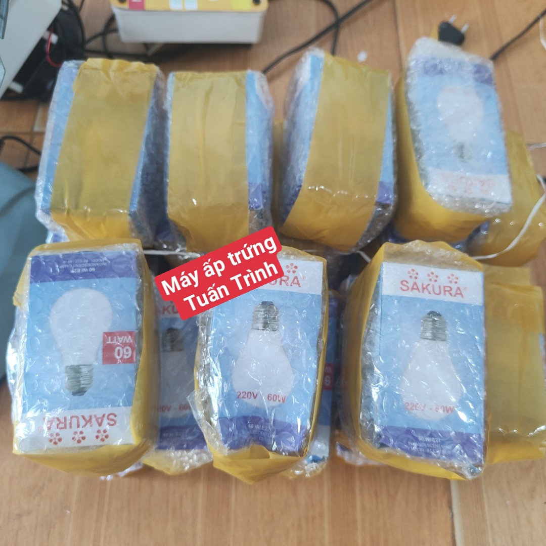 Bóng đèn sợi đốt 60W