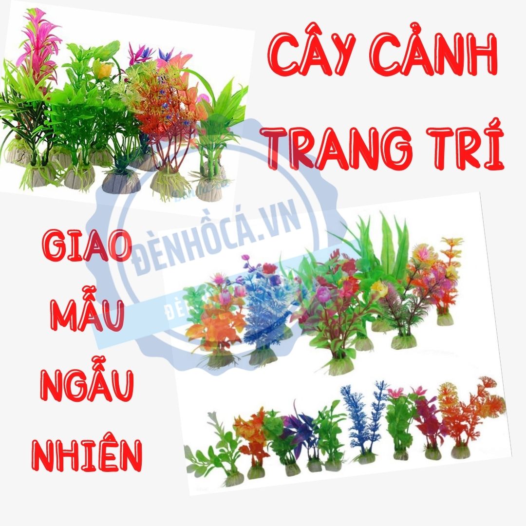 Cây cảnh mini trang trí hồ cá