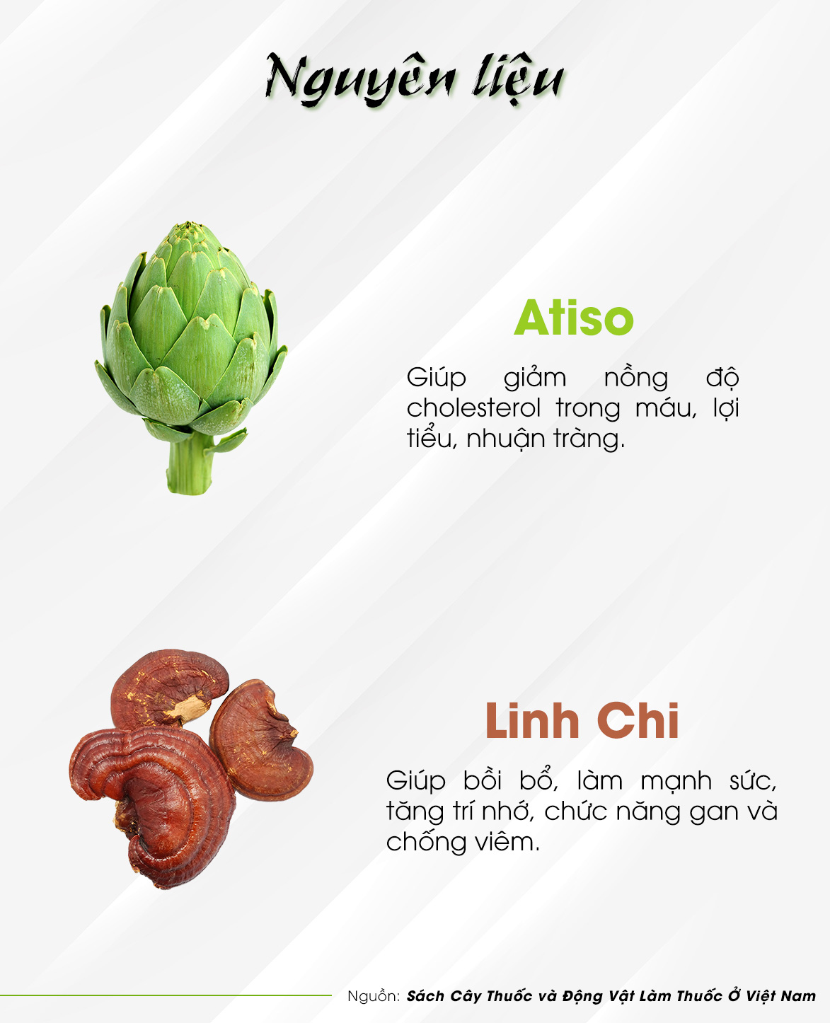 TRÀ LINH CHI -  Trà Hùng Phát