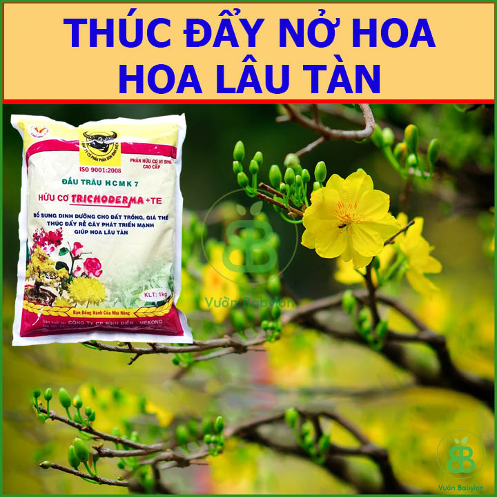 Phân Bón Hữu Cơ Vi Sinh Đầu Trâu 1KG
