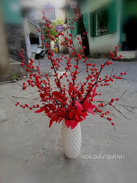 100gr HẠT ĐỎ - BÍ KÍP LÀM ĐÀO ĐÔNG ĐỎ