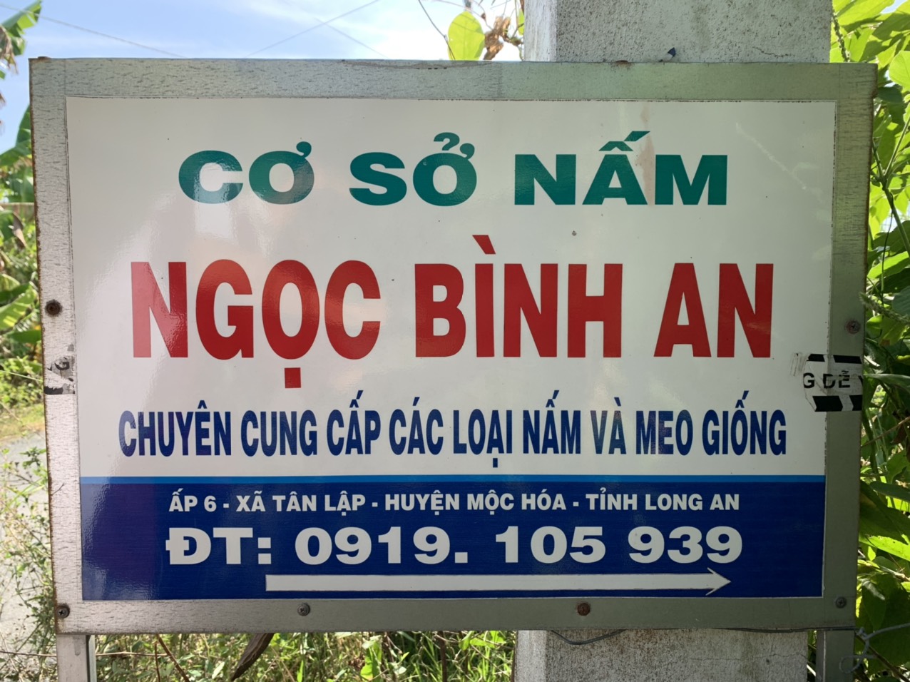 Bioted nấm rơm