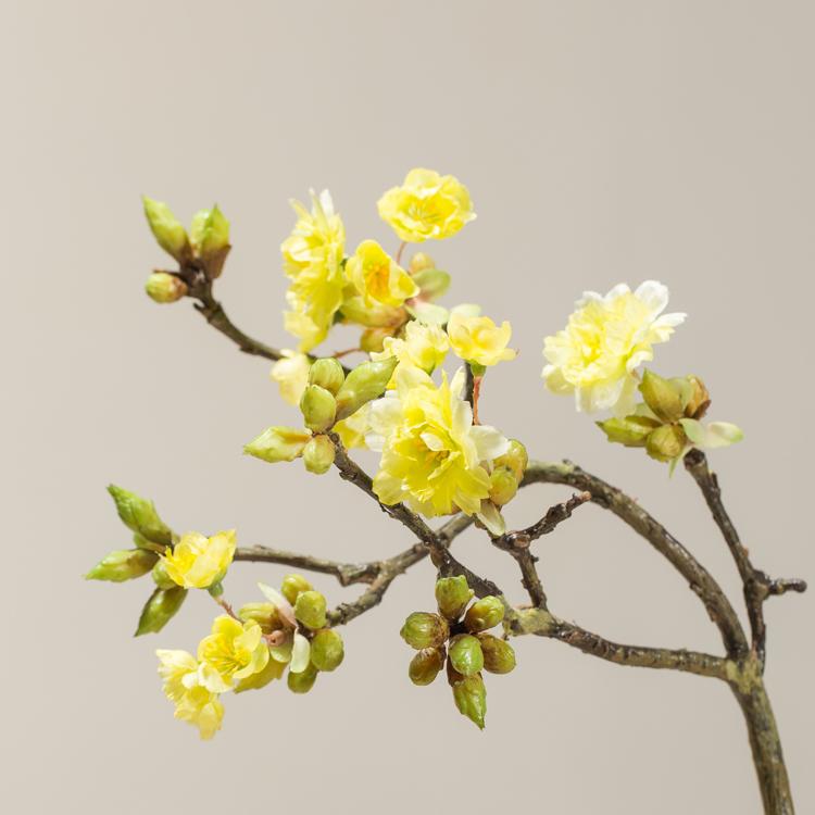Các Cành Hoa Anh Đào Hoa Giả Hoa Lụa Guan Shan Sakura Với Trái Cây Hoa Hải Đường Bàn Ăn Đặt Hoa Giả Kiểu Mỹ Làng Quê Trang Trí