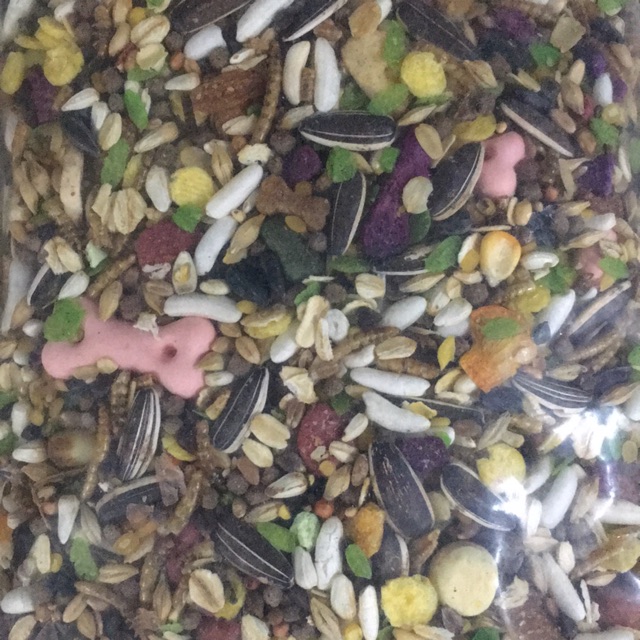 Thức ăn nâng cao
