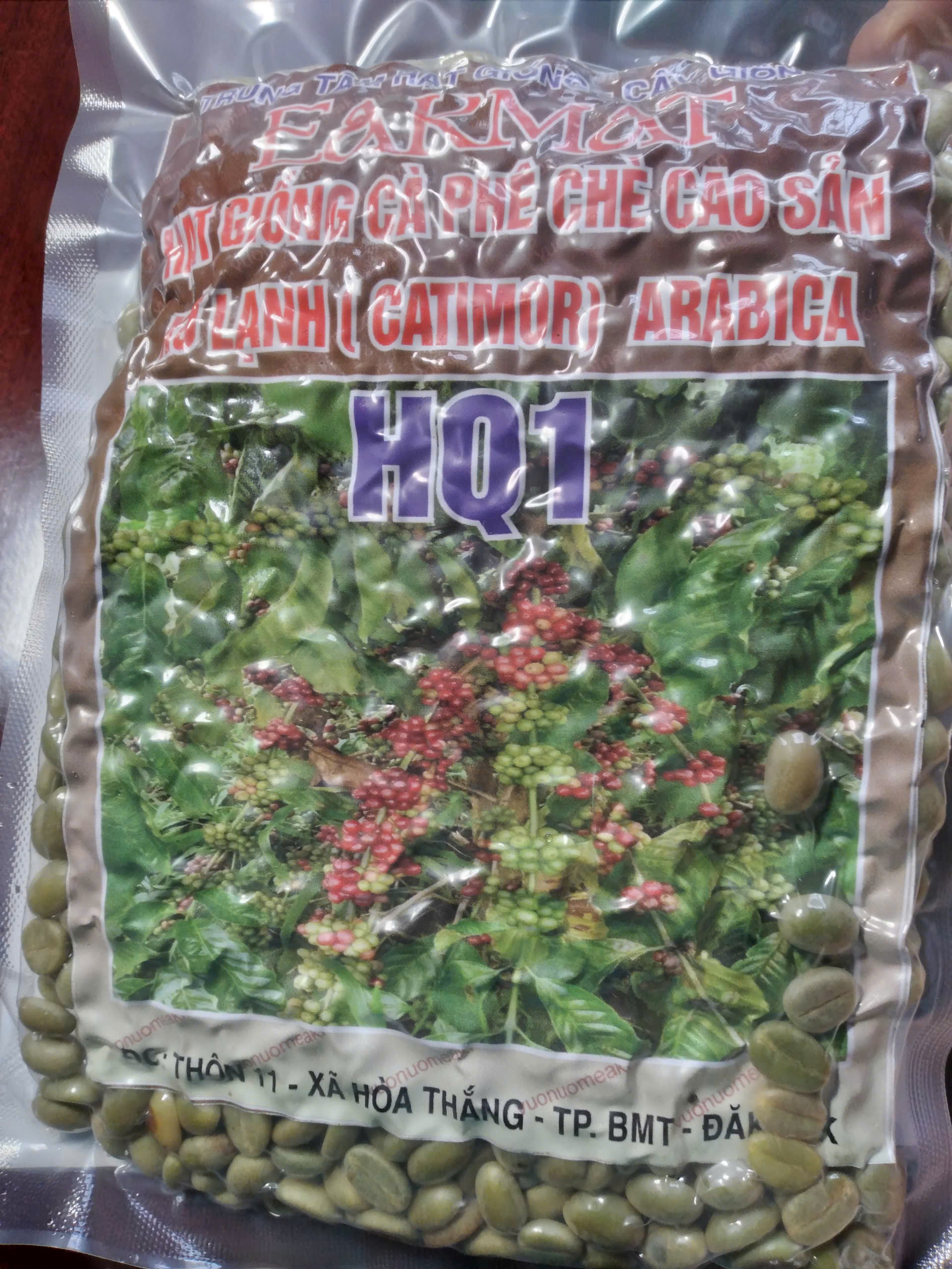 200 gram HẠT GIỐNG CÀ PHÊ CHÈ CAO SẢN XỨ LẠNH (CATIMOR) ARABICA HQ1[ Sai quả, dễ nở bông, cành dự trữ nhiều.năng suất cao, có khả năng thích nghi tốt với nhiều loại đất trồng ]. HẠT ĐẸP TUYỂN CHỌN BAO NẢY MẦM ĐÓNG GÓI KỸ HÚT CHÂN KHÔNG NHƯ HÌNH  Ạ [ GHN ]