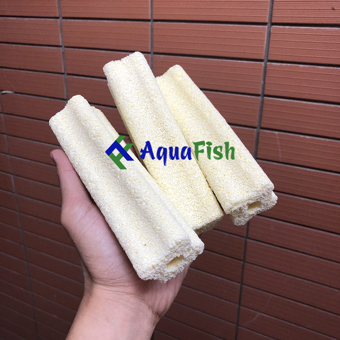 [HOÀN TIỀN 10%]Combo 10 Sứ Thanh Hoa Mai Giúp Lọc Nước Bể Cá, Hồ Cá