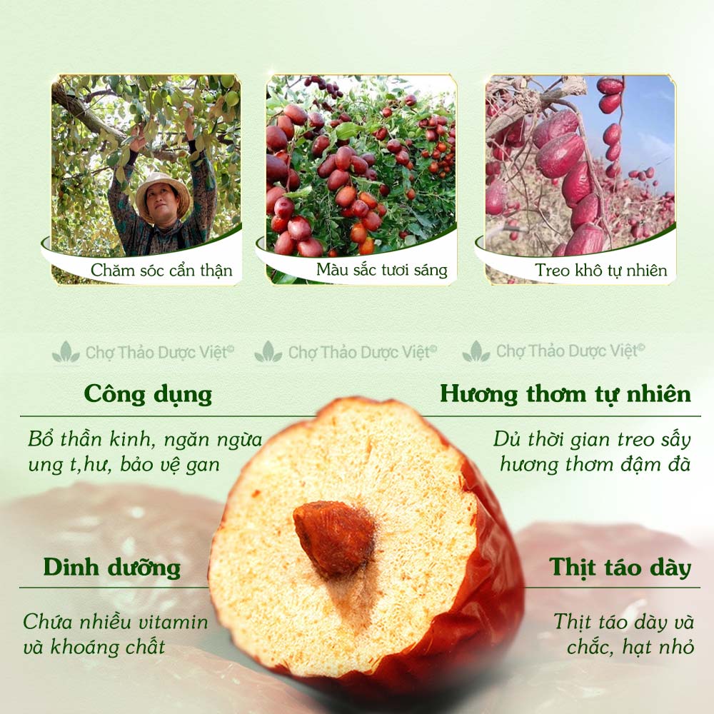 Táo đỏ Hàn Quốc 100g, trà táo đỏ Tân Cương, quả to, dày thịt, hạt nhỏ, vị ngọt, dùng ăn vặt, pha trà, hầm canh