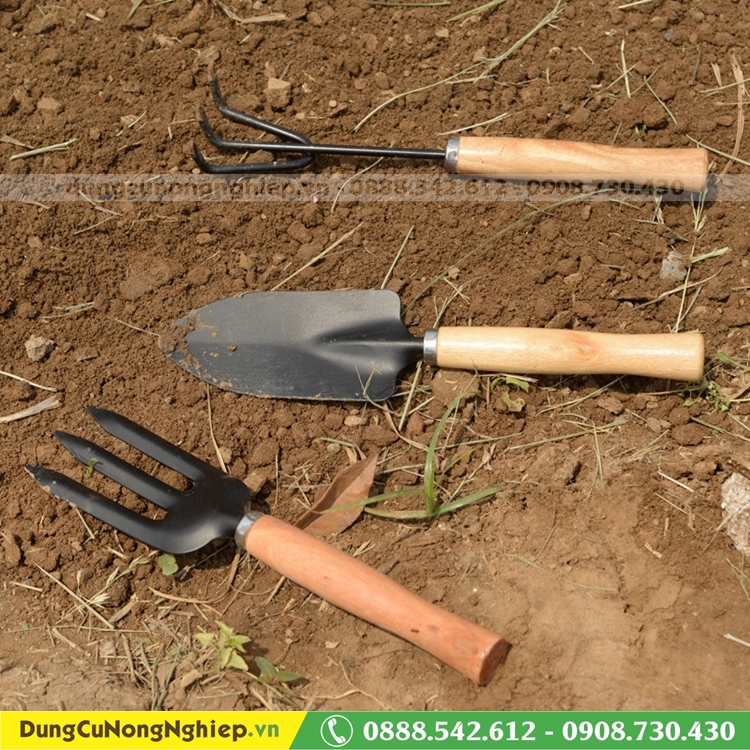 Bộ dụng cụ làm vườn mini 3 món cán gỗ