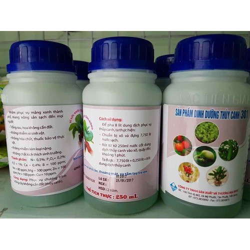 Dung dịch thủy canh bổ sung đầy đủ dinh dưỡng cho cây trồng không có trồng đất