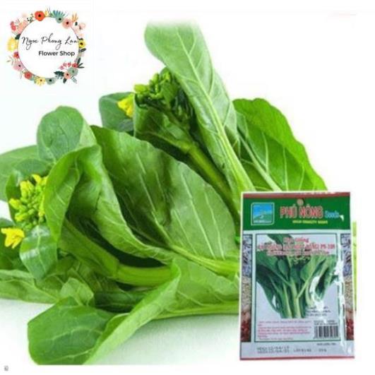 Giống cải ngồng - gói 20 gram