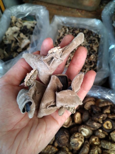 Nấm Mèo Khô Tai To 100G|Trắng