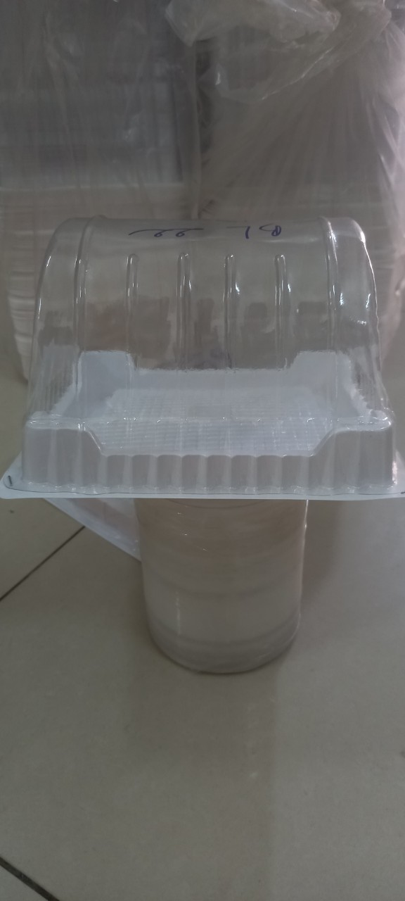 Combo 10 Hộp Đựng Bánh Bông Lan Cuộn H22