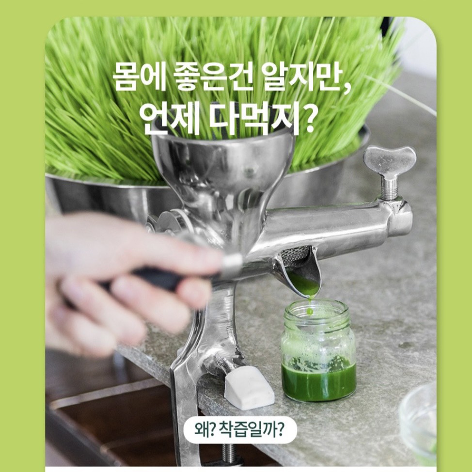 NƯỚC ÉP MẦM LÚA MẠCH NON CAO CẤP GOLDEN HERB - Bột lúa non Golden herb
