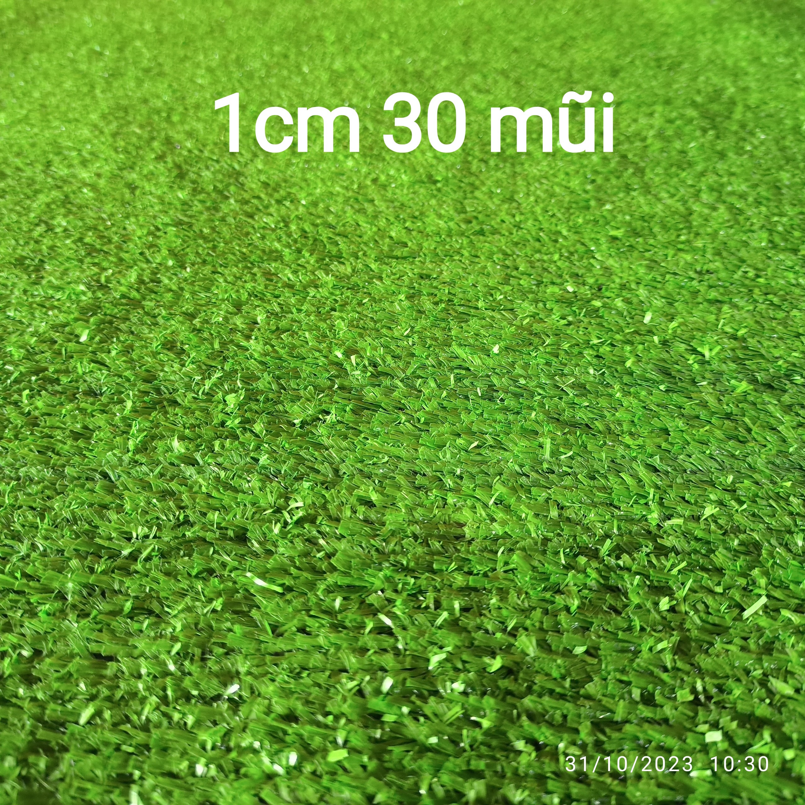 ( 1mét x 1mét) Tấm cỏ nhân tạo giá rẻ  (11 loại cỏ, quý khách đọc kỹ mô tả)