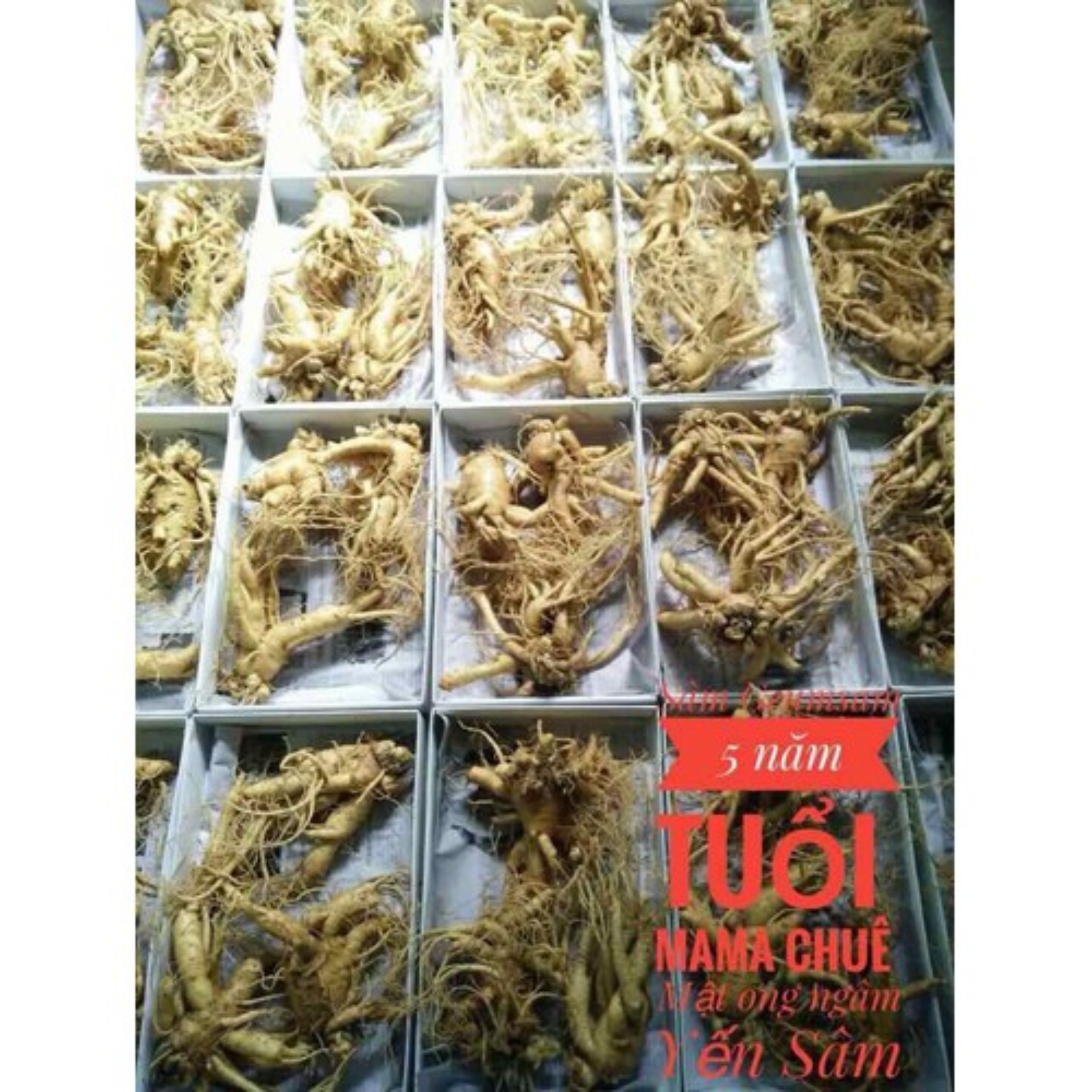 Sâm nghệ mật ong mama Chue