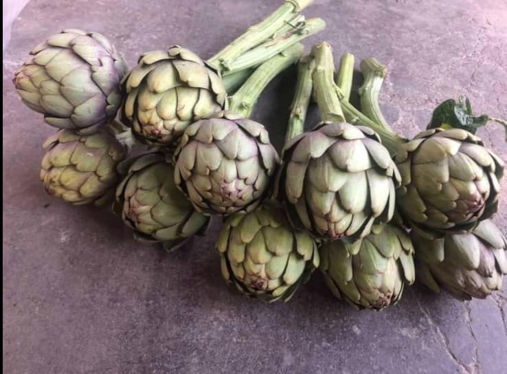Bông Atiso Đà Lạt, 1kg (size lớn: 2 - 3 bông/ 1kg)