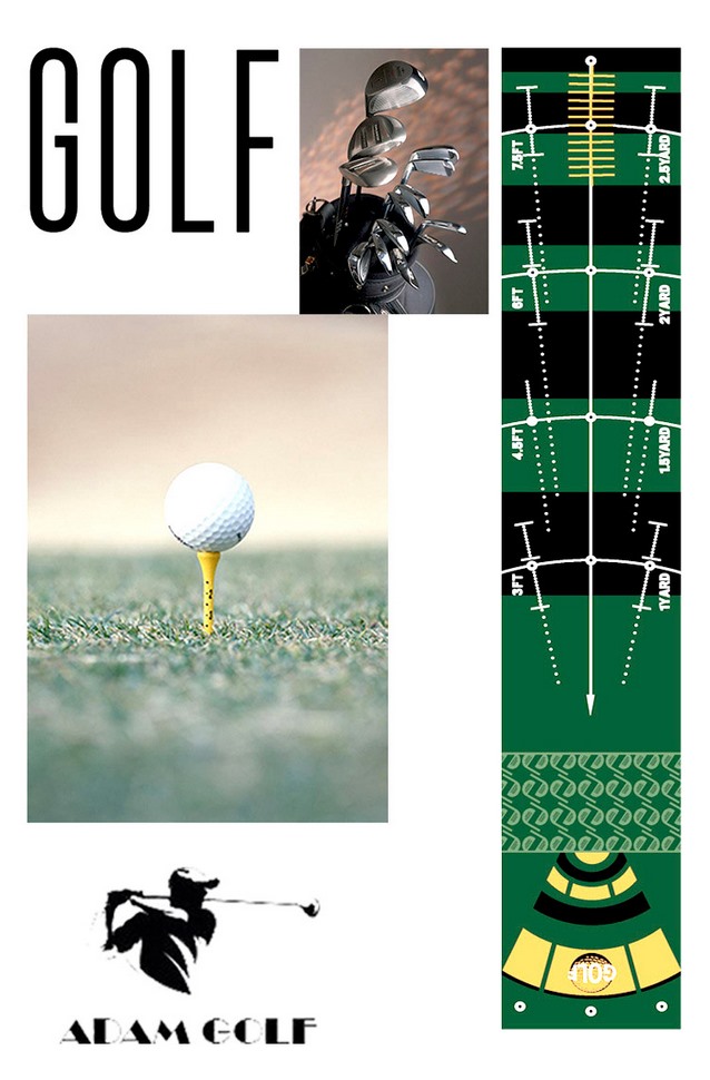 Home Golf Putting Mat - 3m/9.8ft, Four Styles Golf Mat Practice Indoor &Outdoor for Beginner &Amateur